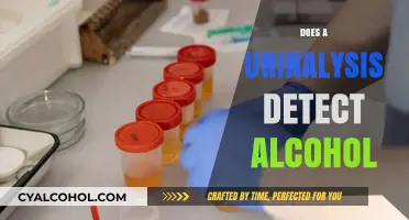 Unveiling the Truth: Can a Urinalysis Really Detect Alcohol?