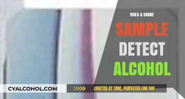 Can Urine Tests Accurately Detect Alcohol Consumption? The Facts Revealed