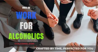 Exploring the Effectiveness of AA for Alcoholics: A Comprehensive Look