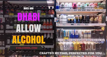 Exploring Abu Dhabi's Alcohol Policies: A Comprehensive Guide