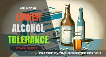 Exploring the Effects of Accutane on Alcohol Tolerance: What You Need to Know