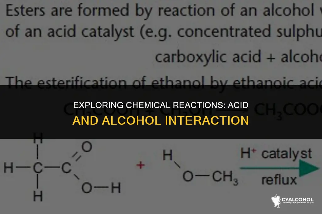 does acid react with alcohol