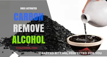 Sobering Truths: Can Activated Carbon Really Remove Alcohol?