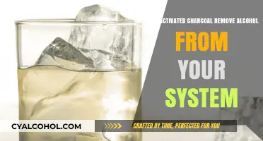 Can Activated Charcoal Detox Alcohol from Your Body? Facts Revealed