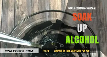 Can Activated Charcoal Absorb Alcohol? Debunking Myths and Facts