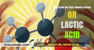 Active Dry Yeast: Alcohol or Lactic Acid?