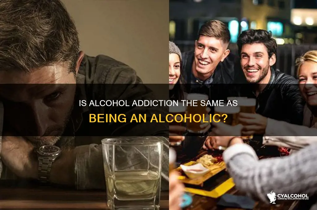 does addiction to alcohol mean alcoholic