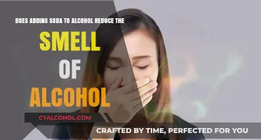Alcohol and Soda: Does It Mask the Alcohol Smell?