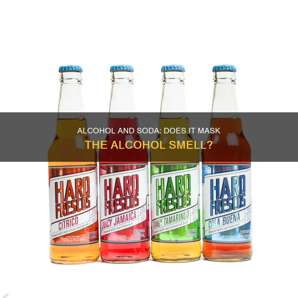 does adding soda to alcohol reduce the smell of alcohol