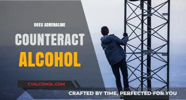 Adrenaline vs. Alcohol: How Does the Body Respond to Both?