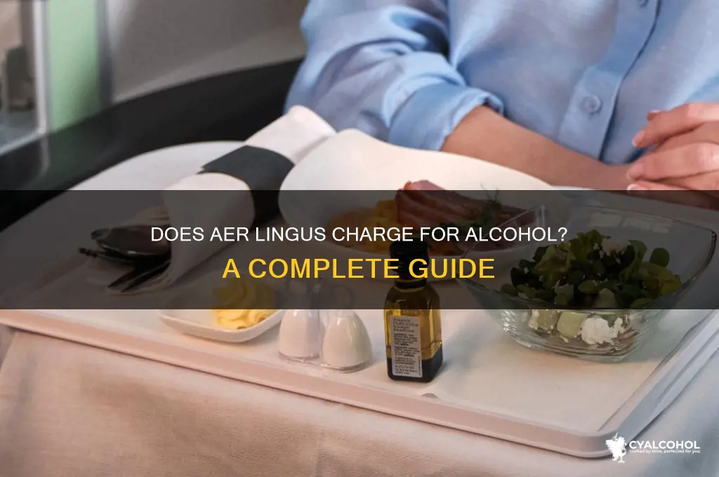 does aer lingus charge for alcohol