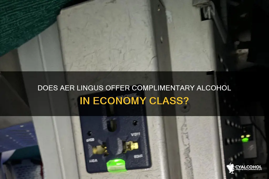does aer lingus have free alcohol in economy