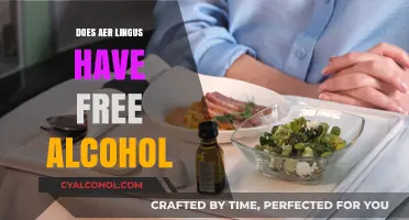 Does Aer Lingus Offer Complimentary Alcohol on Flights?