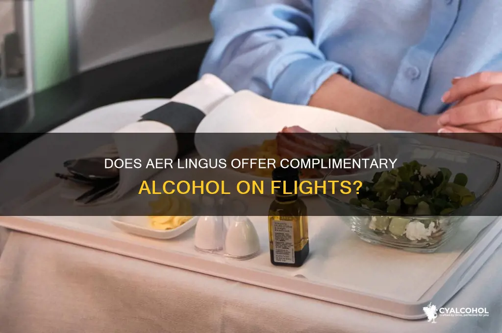 does aer lingus have free alcohol