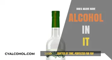 Does Agave Contain Alcohol? Unraveling the Truth About Agave Syrup