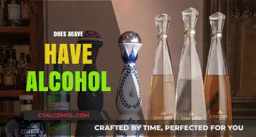 Does Agave Contain Alcohol? Unraveling the Truth Behind the Sweetener