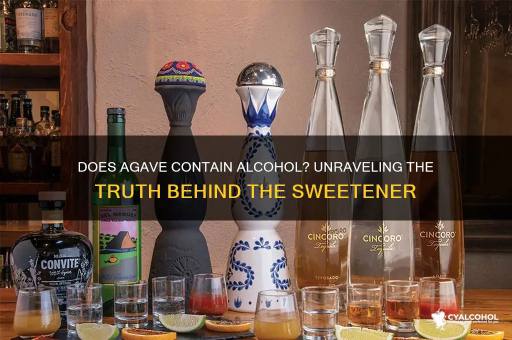 does agave have alcohol