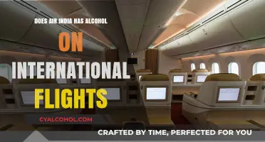 Air India's In-Flight Alcohol Policy: What to Expect Internationally