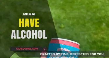 Does Alani Nutritional Energy Drinks Contain Alcohol? The Truth Revealed