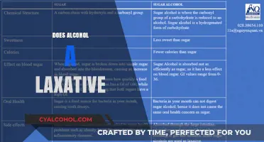 Alcohol and Digestion: Does Drinking Act as a Laxative?