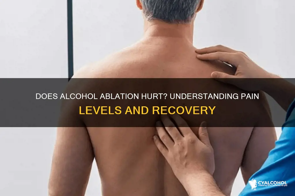does alcohol ablation hurt