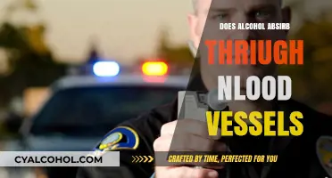 How Alcohol Absorbs Through Blood Vessels: Understanding the Process