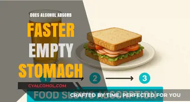 Alcohol Absorption: How an Empty Stomach Speeds Up the Process