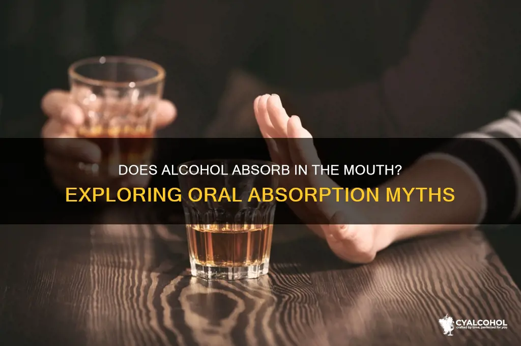 does alcohol absorb in the mouth