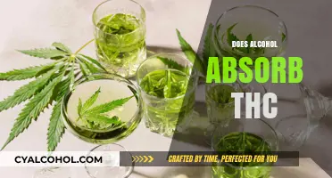 Does Alcohol Absorb THC? Exploring the Interaction and Effects