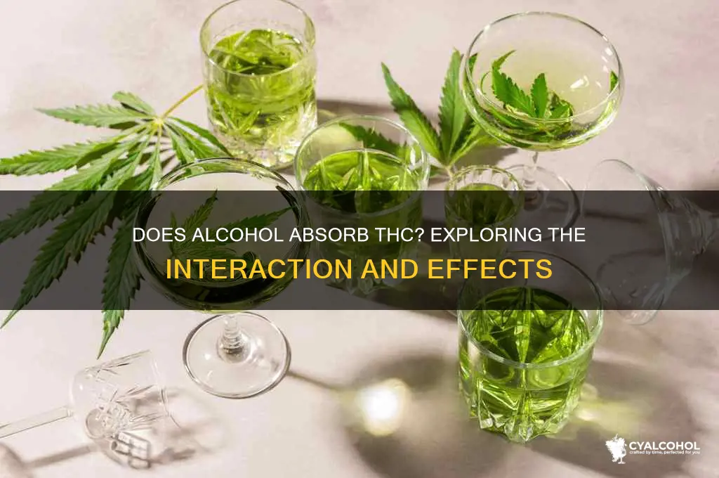 does alcohol absorb thc