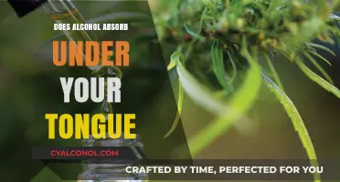 Can Alcohol Be Absorbed Under Your Tongue? Exploring Sublingual Myths