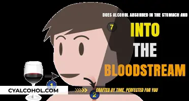 How Alcohol Enters Your Bloodstream