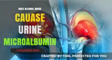Alcohol Abuse and Kidney Health: Exploring the Link to Microalbuminuria