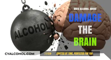 Alcohol Abuse and Brain Damage: Uncovering the Devastating Effects