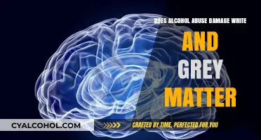 Alcohol Abuse's Impact: White and Grey Matter Damage Explained
