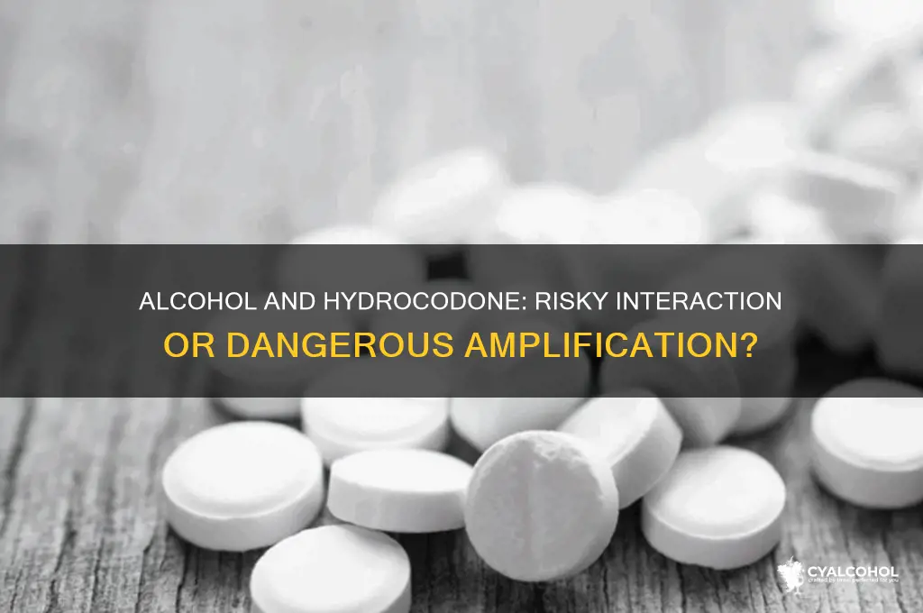does alcohol accentuate hydrocodone