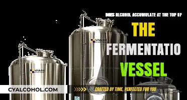 Alcohol Behavior During Fermentation: Top or Bottom?