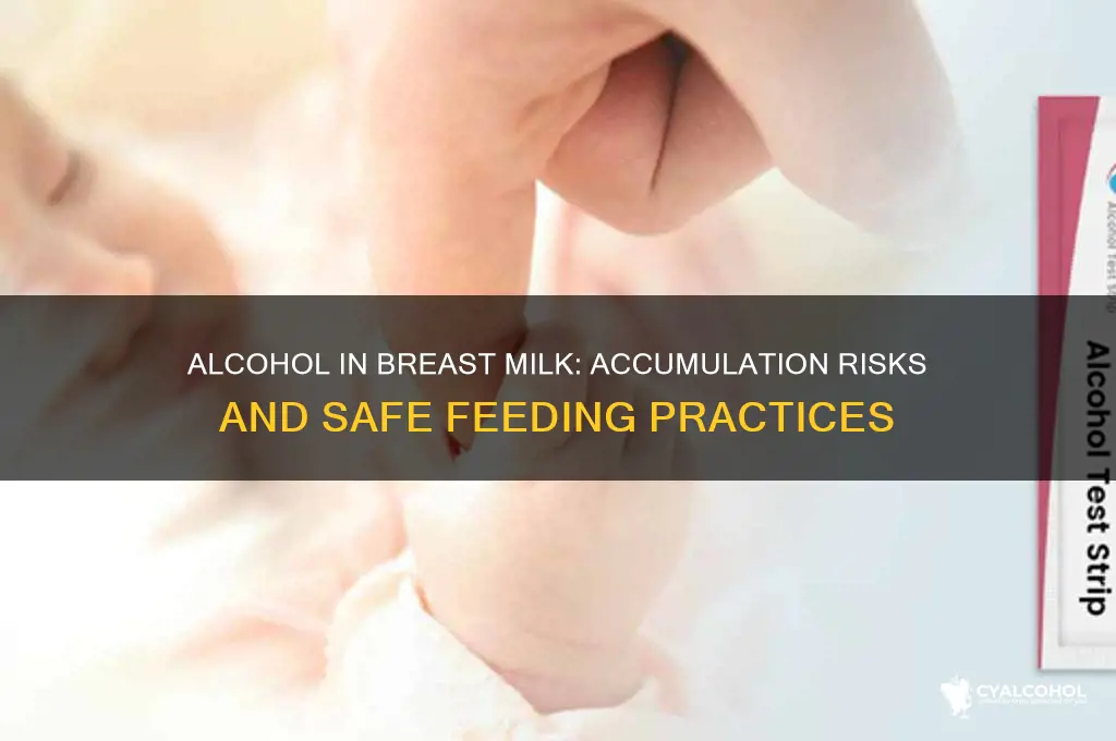 does alcohol accumulate in breast milk