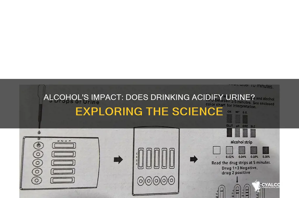 does alcohol acidify urine