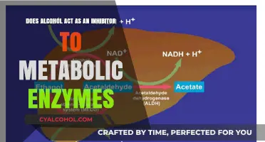 Alcohol's Metabolic Enzyme Inhibition: What You Need to Know