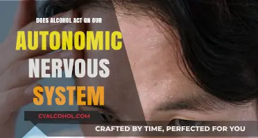 Alcohol's Impact on the Autonomic Nervous System: Unveiling the Connection