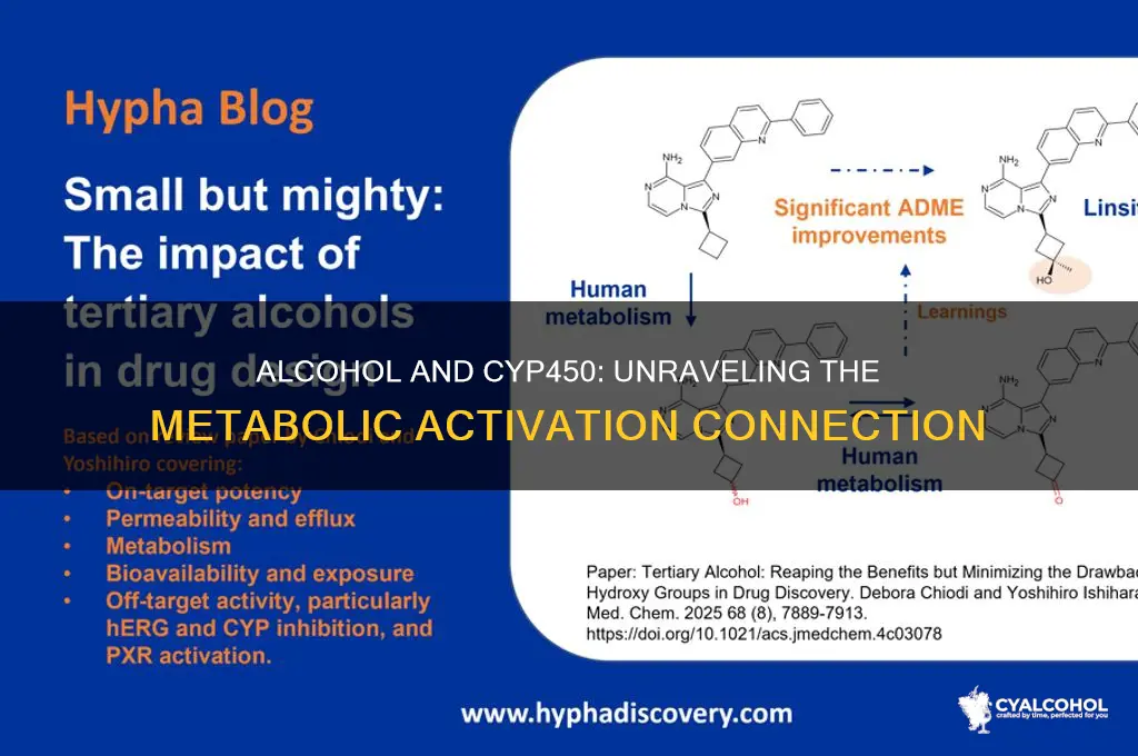 does alcohol activate cyp450