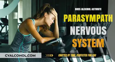 Alcohol's Impact: Does It Activate the Parasympathetic Nervous System?