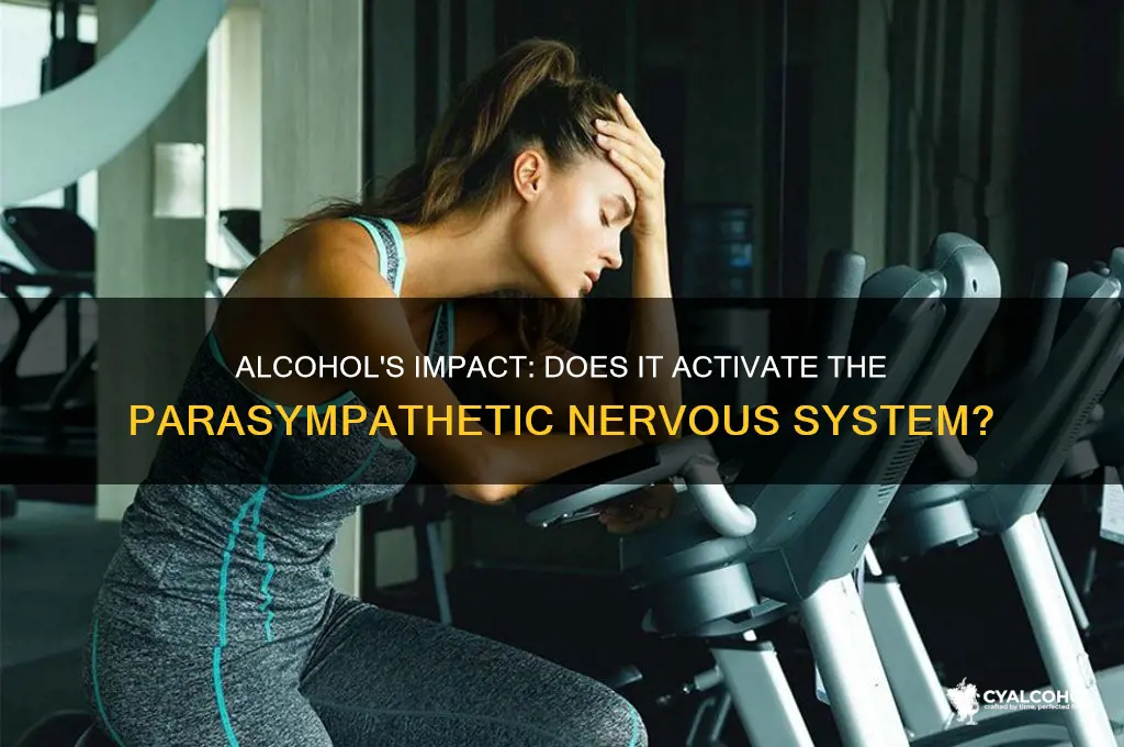 does alcohol activate parasympathetic nervous system