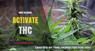 Alcohol and THC Interaction: Does Drinking Enhance Cannabis Effects?