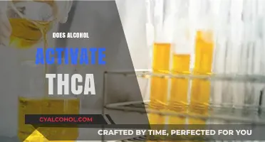 Does Alcohol Activate THCA? Exploring the Science Behind the Myth