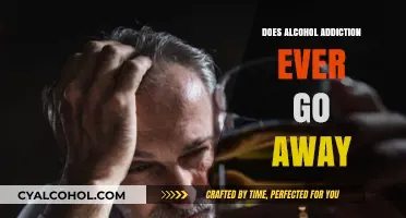 Can Alcohol Addiction Be Overcome Permanently? Exploring Recovery and Relapse