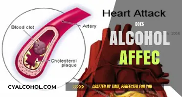 Does Alcohol Affect Your Health, Mind, and Daily Life?