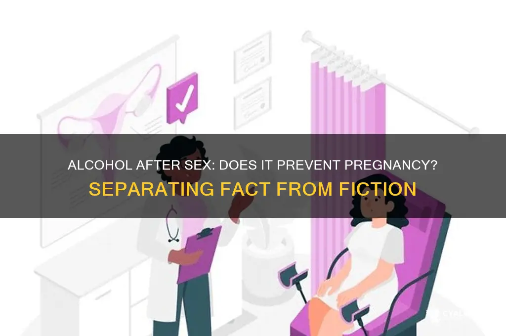 does alcohol after sex prevent pregnancy