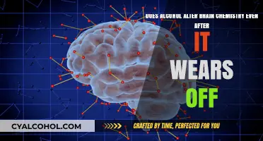 Alcohol's Lasting Impact: Altering Brain Chemistry